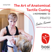 The Art of Anatomical-Tactile Cueing Sondra Karman Prato